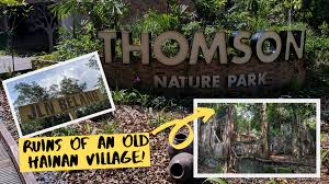 With the flat boardwalk here and along venus loop, it is a quiet respite for parents with babies and strollers in tow. Cheekiemonkies Singapore Parenting Lifestyle Blog Go Look For Ruins Of An Abandoned Hainan Village At The New Thomson Nature Park Cheekie Monkies