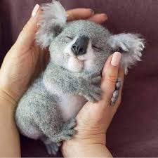 35 Funny Furry Animals To Brighten Your Day Funny Animals Cute Animals Baby Animals Imtopic