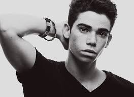 Ｓᴛʀᴀᴛᴇɢɪᴄ Ｈᴏᴍᴇʟᴀɴᴅ Ｉɴᴛᴇʀᴠᴇɴᴛɪᴏɴ﹐ Ｅɴғᴏʀᴄᴇᴍᴇɴᴛ ᴀɴᴅ Ｌᴏɢɪsᴛɪᴄs Ｄɪᴠɪsɪᴏɴ