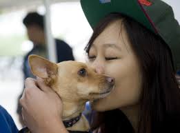 Students take paws before finals