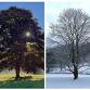 Hygge Yoga Retreat: Slowing Down & Retreating Inward