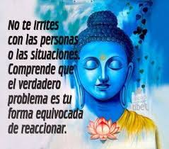 Gerardo Rosillo Parra (gerardorosilloparra)