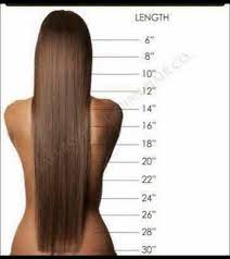 Braided Box Braids Wig The Length In The Picture Is 22 Inches Long Pls Chose Your Length And Color Hair Inches Hair Lengths Hair Length Chart