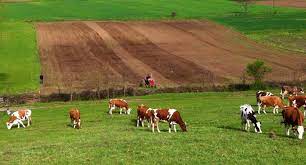 Bl... - Ministria e Bujqësisë, Pylltarisë dhe Zhvillimit Rural | Facebook