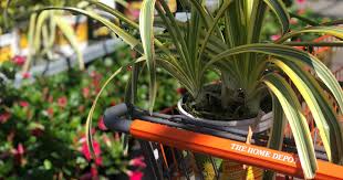 Had a negative experience with home & garden? 80 Off Home Depot Coupons Hottest Sales Promo Codes Hip2save