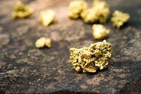 Geological Survey of India (GSI) | Gold claim grossly overblown: Geological  Survey of India - Telegraph India