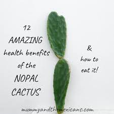 When you lose weight, your brain will intervene to push it back to what it thinks is the correct weight for you. 12 Amazing Health Benefits Of The Nopal Cactus And How To Eat It