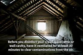In order to properly clean up contaminated areas, individuals should always use gloves and protective masks to avoid breathing in. How To Clean Up After A Mouse Infestation