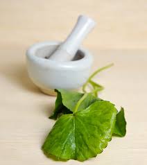 Guta kola does just that by relaxing the blood vessels in your scalp, creating room for oxygen, and other materials. Gotu Kola 9 Powerful Benefits Side Effects Dosing