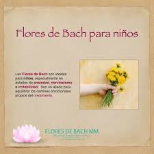 Es la gran flor de bach para la ansiedad. Flores De Bach Home Facebook