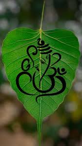 2,000+ vectors, stock photos & psd files. Hd 4k Mahadev Mobile Wallpaper Wallpapers For Mobile