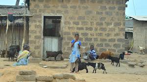 'muso oa lesotho), is an enclaved country within the border of south africa. Lesotho Better Prepared To Fight Animal Diseases Iaea