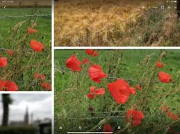 How to make collage on google photos. Tip Create A Collage Of Your Vacation Snaps With Google Photos On Your Iphone Or Ipad Techzle