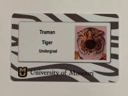 One of the great things about tigercash is convenience! Tigercard Manager Division Of It