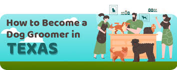 The owner is a second generation pet groomer for 28+ years! Dog Grooming License Requirements And Schools In Texas
