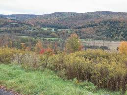 Butternut Valley Family History: September 2013