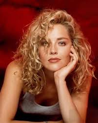 When Sharon Stone collapsed