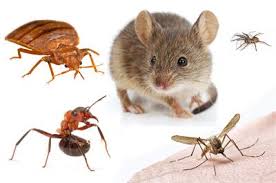 Pest Control Products | Nixalite