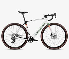 Image result for Orbea knobelii