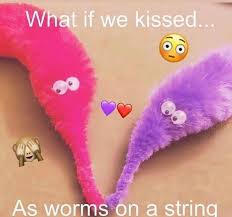 Pin By Rachel Hayes On Worm Board Wholesome Memes Cute Memes Worms