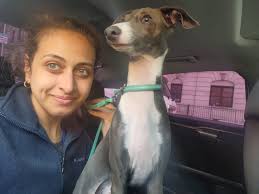 Flying with 2 dogs to Italy