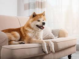 Möchten sie ihre couch aus microfaser komplett reinigen, müssen sie sämtliche deko wie kissen und decken vom sofa entfernen, um eine. Microfaser Sofa Reinigen Tipps Fur Ihre Reinigung Polsterando