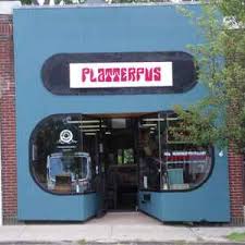 Image result for Platterpus