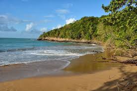 Plage De La Perle Deshaies Guadeloupe Plage Guadeloupe Deshaies Guadeloupe