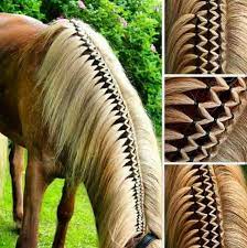 Horse Braiding Horse Mane Braids Horse Mane