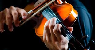 Violin