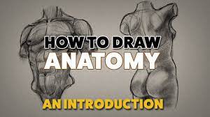 How to Draw Anatomy - An Introduction - YouTube