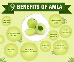 Amla Benefits In Hindi Health Healthy Facts Ayurvedic Herbs