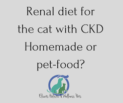 Cat food recipe and our first time trying raw cat food: Renal Diet For The Cat Homemade Or Pet Food Elicats It