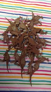 Girl Scout Thinking Day Australia Project Australian Swaps Easy Swaps Kangaroo Cutouts On Pins Girl Scout Crafts Girl Scout Swap Daisy Girl Scouts