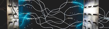 I am going to provide you some great options for the same here. Unternehmen Netzwerk 2000 Ein Starkes Netzwerk