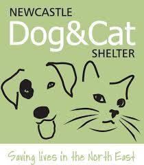 Nccc helps raise awareness and funds for homeless cats. Newcastle Dog Cat Shelter Neecc