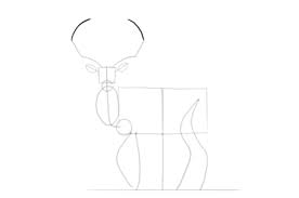 How to draw deer antlers. How To Draw A Deer Step By Step