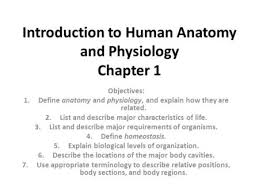 What Is Anatomy Physiology Big Ideas How Does The Body Maintain Homeostasis How Are Structure And Function Interdependent Ppt Download