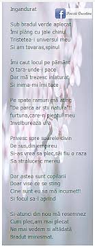 Parcă toți recită o poezie la serbarea de sfârșit de an. Poezii Crestine Photos Facebook