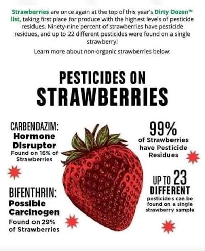 Strawberries are at the TOP of the list of Dirty Dozen. Buy organic, find a  farmer that doesn't spray, or even better… grow your own 🙌🏼♥️ When you do  buy from the