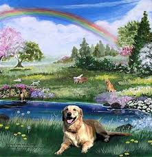 It Should Be God Created Dog In His Image Not Man Elephant Journal