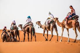 Check out these stylish euro chic travel. A Trip To The Sahara Desert The Tipsy Gypsies
