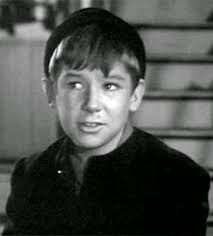 Classic Film and TV Café: An Interview with Michael McGreevey: The  Actor-Writer Discusses Riverboat, Disney, the Fame TV Series, and The  Waltons