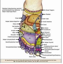 Reflexology Chart Foot Reflexology Reflexology