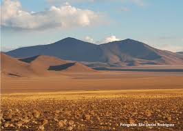 We did not find results for: Adentrandonos En La Puna Noroeste Salvaje