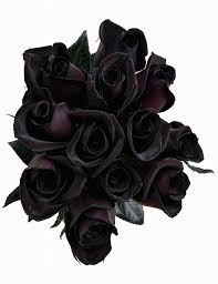 #hydrangea #hydrangeas #flowers #blue flowers #purple flowers #blue #purple #flower photoshoot #my photography #my photos #flower pictures #flower #inspiration #rose quartz #pink #purple flowers #crystals #healing stones #gemstones #crystal aesthetic #rosemary #crystal grid #pink. Buy Black Roses Bouquet By Flower Explosion Real Fresh Tinted Black Roses 12 Stems Online In Taiwan B00k1jkng6