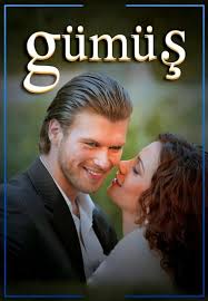 Forbidden Love (TV Series 2008–2010) - IMDb