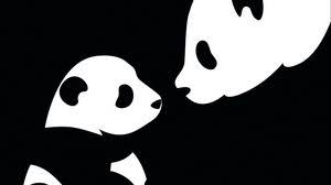 Panda Tablet Laptop Wallpapers Hd Desktop Backgrounds 1366x768 Images And Pictures Find 24 images that you can add to blogs, websites, or as desktop and phone wallpapers. panda tablet laptop wallpapers hd