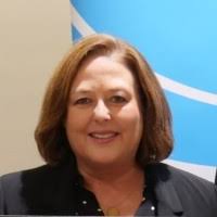 100+ "Or Fleischer" profiles