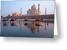 The taj mahal isn't only a famous place to visit in india , it's famous all around the globe, with millions of visitors every year. Camels In Yamuna River Taj Mahal Agra Photograph By Animal Images
